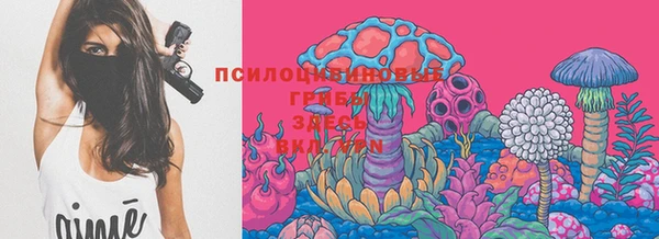 мяу мяу мука Корсаков