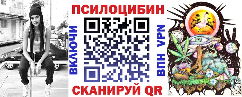 Купить  Вышний Волочёк  Псилоцибиновые грибы Magic Shrooms 